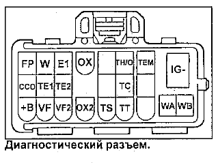 TF E1